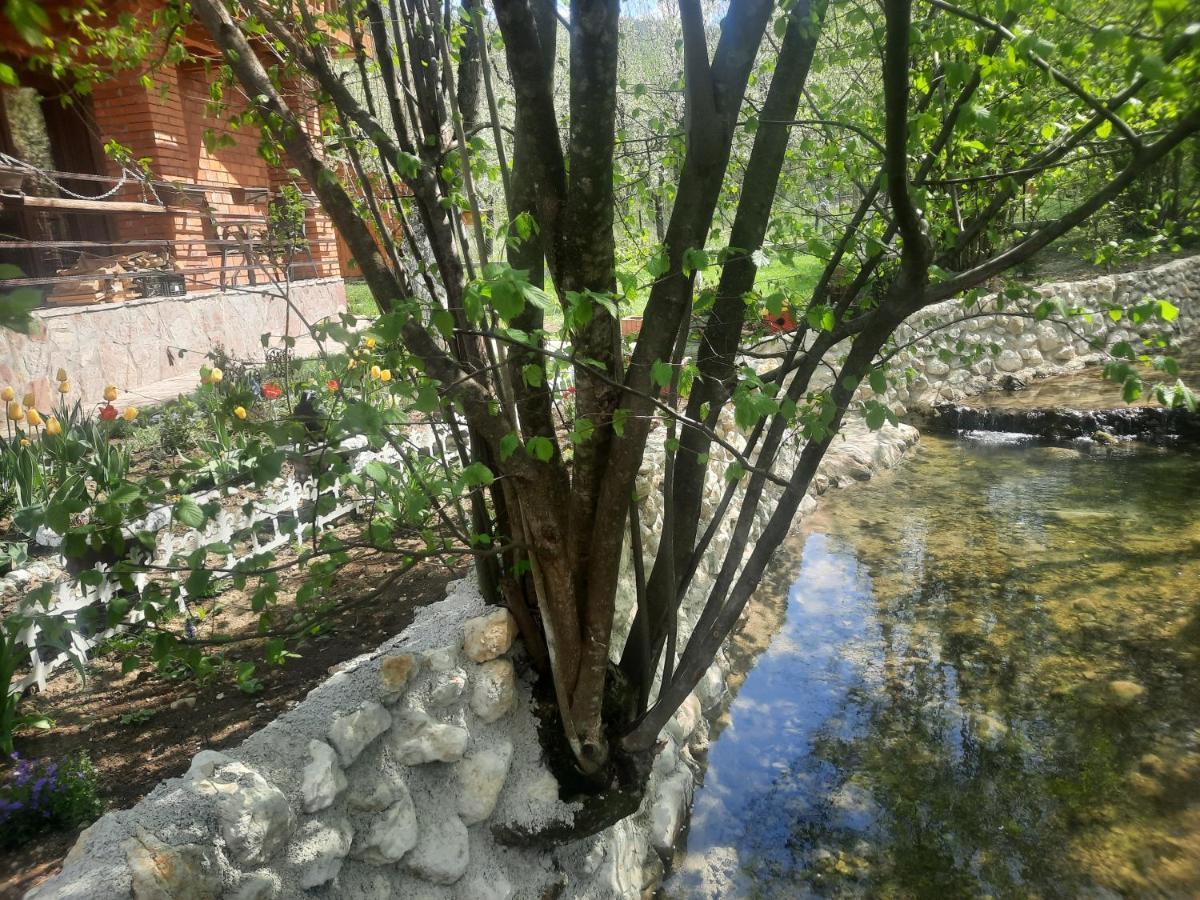 Live Nature บีฮัช ภายนอก รูปภาพ