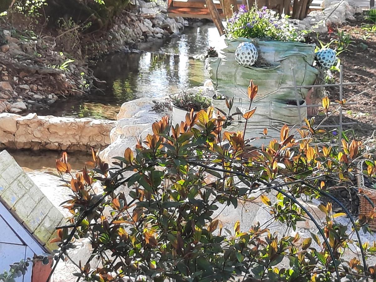Live Nature บีฮัช ภายนอก รูปภาพ