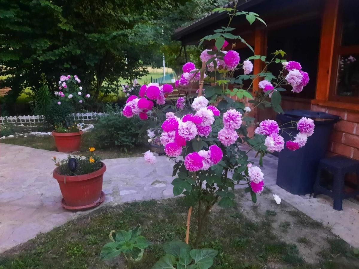 Live Nature บีฮัช ภายนอก รูปภาพ