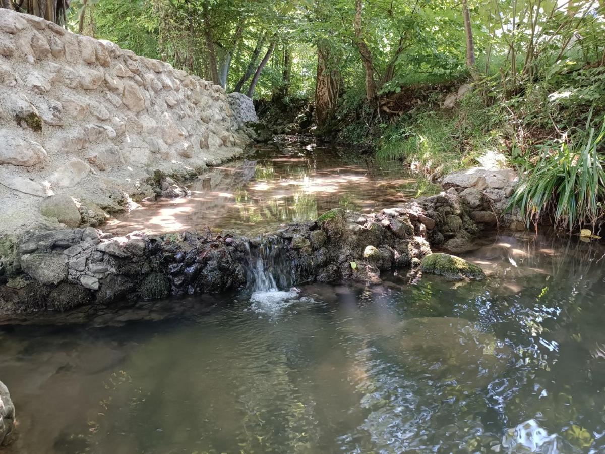 Live Nature บีฮัช ภายนอก รูปภาพ