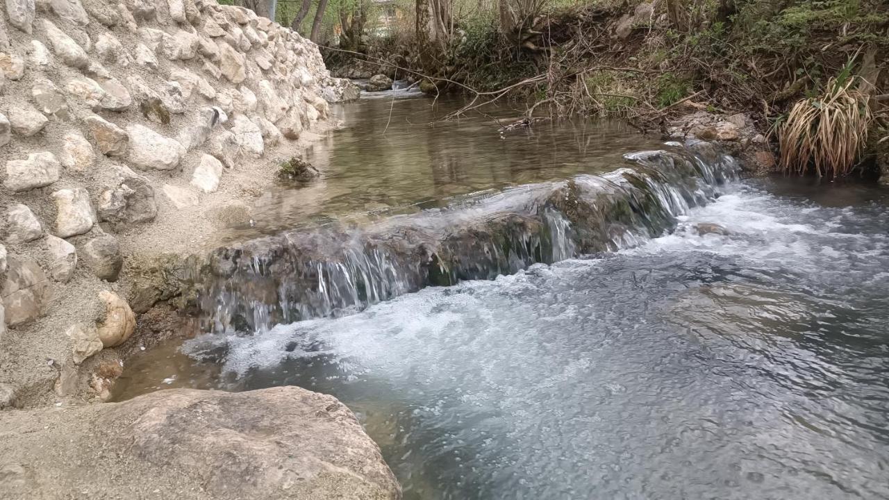 Live Nature บีฮัช ภายนอก รูปภาพ